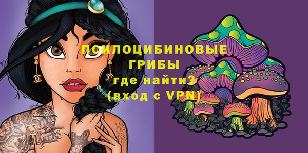 хмурый Медвежьегорск
