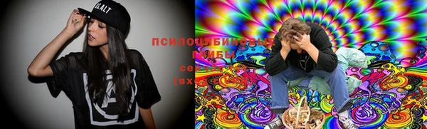 a pvp Россошь
