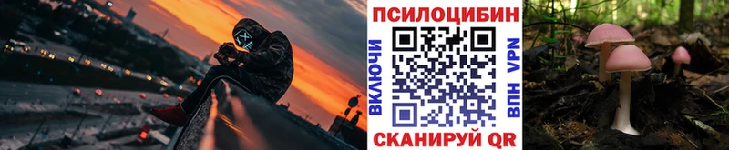 Псилоцибиновые грибы Psilocybe  цена наркотик  Навашино 